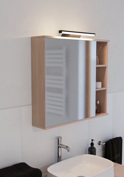 Eglo 901287 - Illuminazione LED RGBW Dimmerabile per bagno REGELLO-Z 12W/230V IP44 nero
