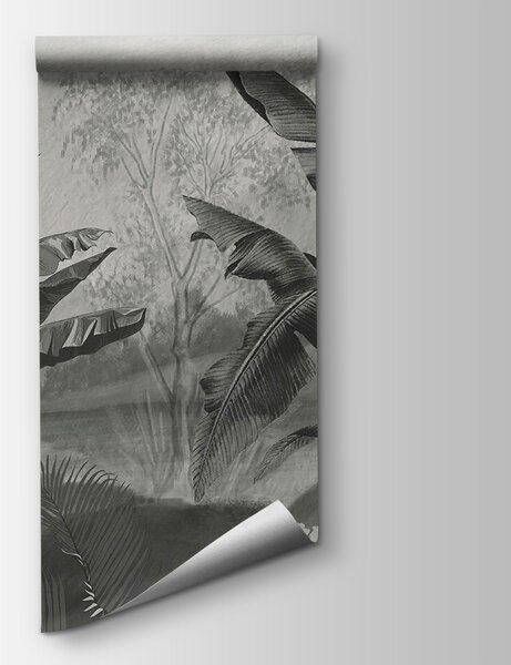 Carta da parati Immagine in bianco e nero di una foresta tropicale, Carta da parati Giungla, Carta da parati popolare, u94329 - Tapeko.it