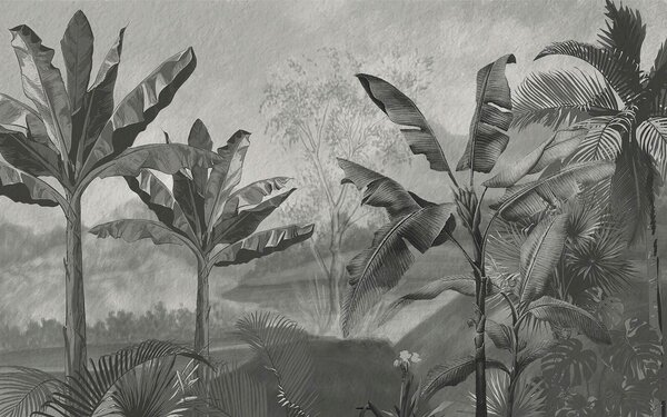 Carta da parati Immagine in bianco e nero di una foresta tropicale, Carta da parati Giungla, Carta da parati popolare, u94329 - Tapeko.it