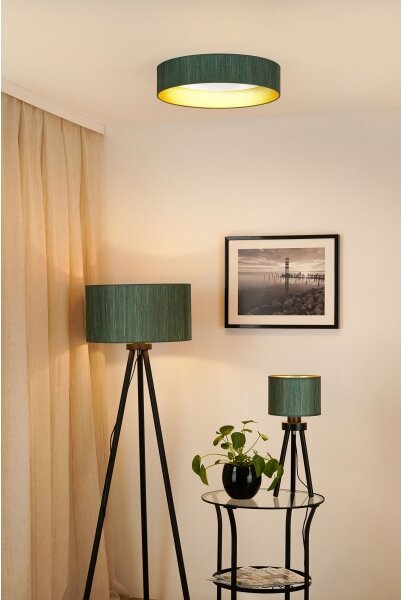 Brilagi - Plafoniera LED BOSTON ROLLER LED/24W/230V diametro 45 cm verde/oro