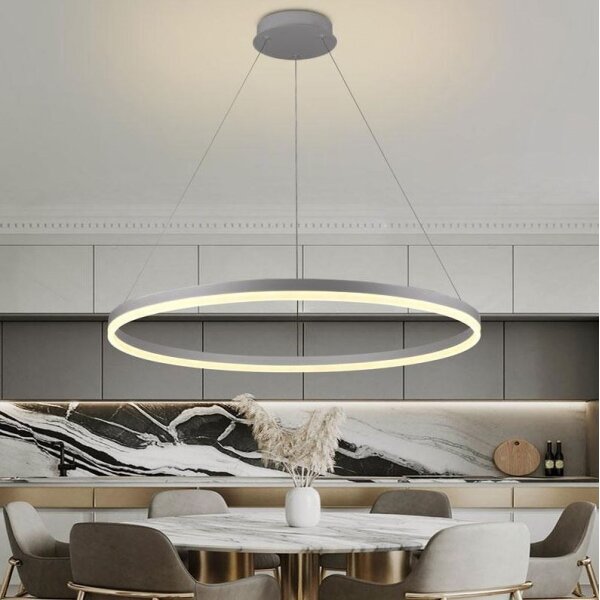 Brilagi -LED Lampadario dimmerabile sospeso a cavo CIRCLE LED/55W/230V 3000-6500K argento + telecomando
