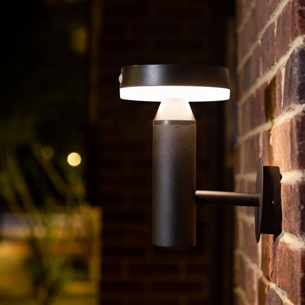 Applique a LED solare con sensore GWINEA LED/4,5W/3,7V IP44 nero