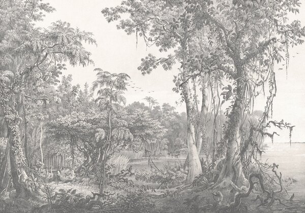 Carta da parati Disegno di alberi e piante, Carta da parati Foresta, Carta da parati popolare, u95795 - Tapeko.it