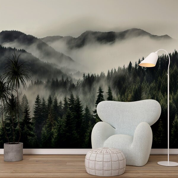 Carta da parati Foresta con nebbia e montagne, Carta da parati Montagne, Carta da parati popolare, u96027 - Tapeko.it