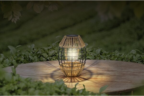 Globo 36669 - Lampada LED solare SOLAR LED/2W/3V IP44