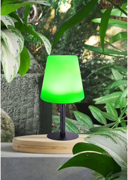 Globo 33894 - Lampada da tavolo LED RGB Solar touch LED/0,1W/3V IP44