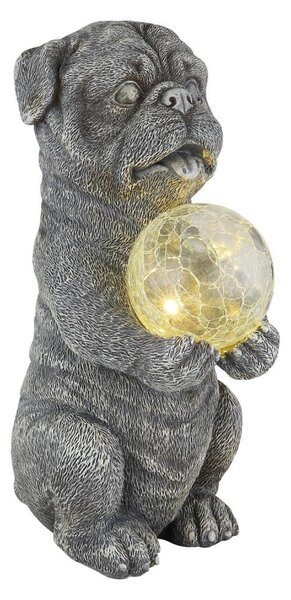 Globo - Decorazione solare LED/0,02W/3V IP44 cane