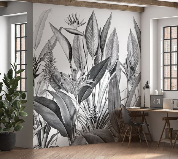 Carta da parati Piante della giungla tropicale colore bianco e nero, Carta da parati in Bianco e Nero, u96833 : Uwalls.it