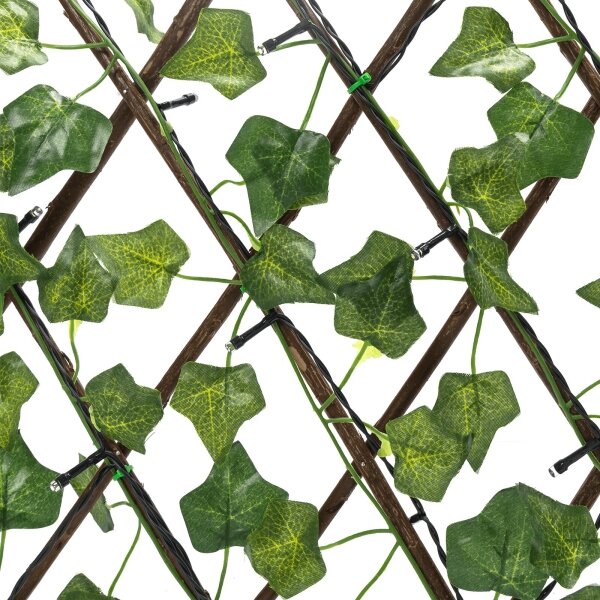 Aigostar - decorazione solare a LED 56xLED/2x0,4m IP65 bianco caldo ivy