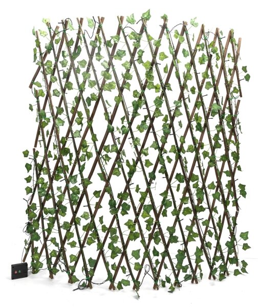 Aigostar - Catena LED solare 148xLED/2x1,2m IP65 bianco caldo ivy