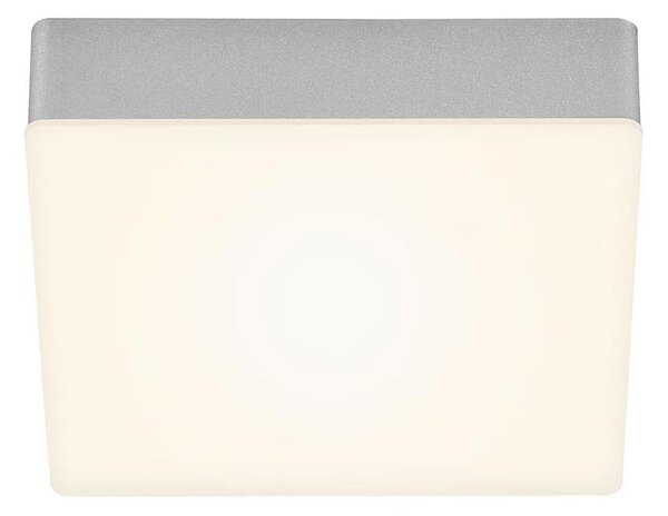 Briloner 7069-014 - Plafoniera LED LED/11W/230V argento