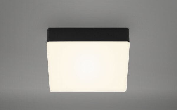 Briloner 7069-015 - Plafoniera LED LED/11W/230V nero