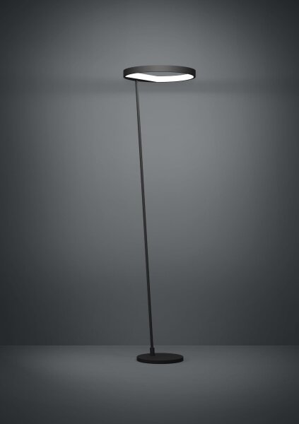Eglo 390167 - Lampada da terra dimmerabile a LED CAREDARA LED/23W/230V 3000K