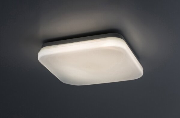 Rabalux 77134-LED Plafoniera da bagno LOWAR LED/12W/230V IP44 3000/4000/6000K