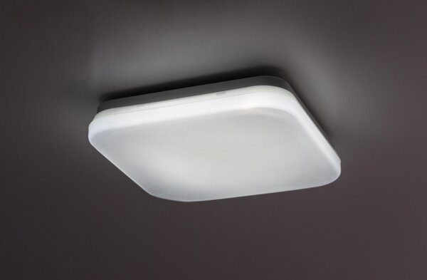 Rabalux 77134-LED Plafoniera da bagno LOWAR LED/12W/230V IP44 3000/4000/6000K