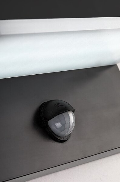 Rabalux 77115-Applique da esterno con sensore ZARAGOZA LED/9W/230V IP54 nero
