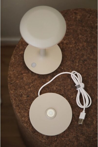 Markslöjd 108917-LED Dimmerabile ricaricabile lampada PETIT 2W/1800 mAh 2200/2700/3000K IP44 grigio