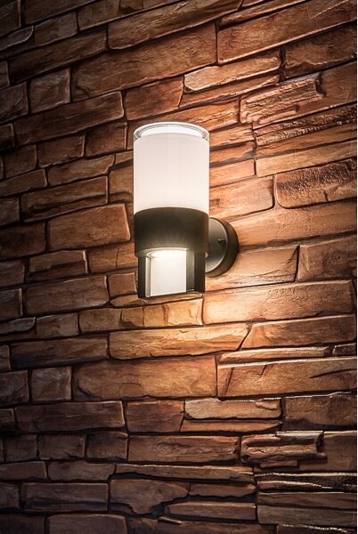 Rabalux 77130 - Applique a LED da esterno LEITHA LED/12W/230V IP44