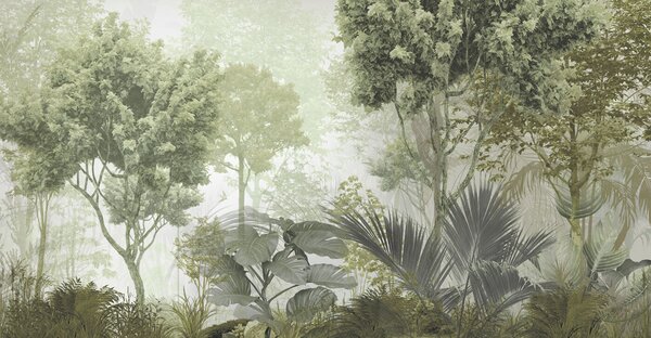 Carta da parati Un gruppo di alberi e piante in una foresta nebbiosa, Carta da parati Giungla, Carta da parati popolare, u97409 - Tapeko.it