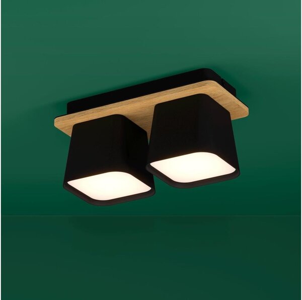 Eglo 390007 - Plafoniera RUSCIO 2xE27/40W/230V nero/marrone