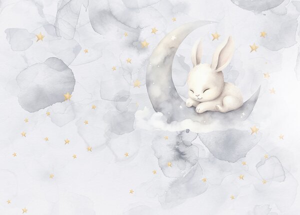 Carta da parati Un coniglio sulla luna, Carta da parati per Bambini, Carta da parati popolare, u97739 - Tapeko.it