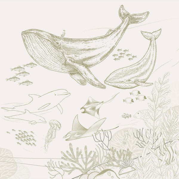 Carta da parati Disegno di una balena e di una balenottera, Carta da parati per Bambini, Carta da parati popolare, u98151 - Tapeko.it