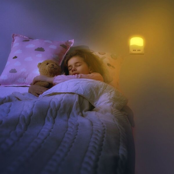 LED Luce notturna con sensore crepuscolare 2xUSB LED/0,45W/230V 3000K