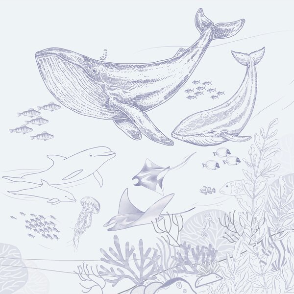 Carta da parati Disegno di una balena e di una balenottera, Carta da parati per Bambini, Carta da parati popolare, u98151v1 - Tapeko.it