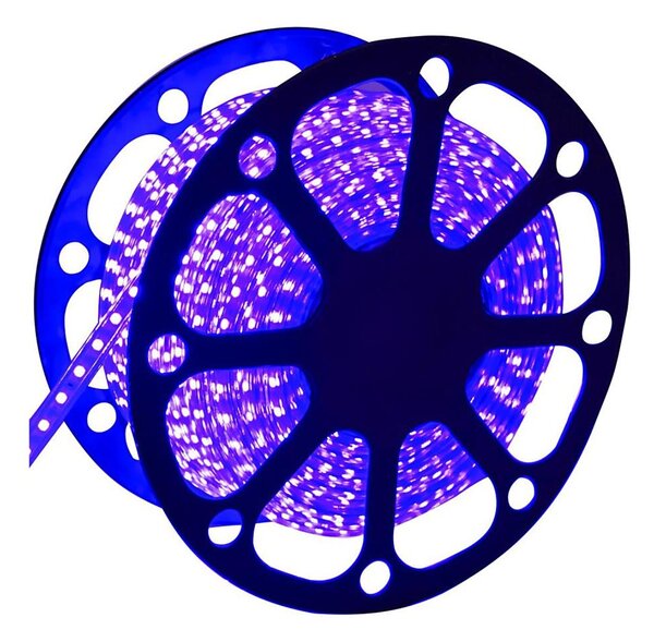 Aigostar - Striscia LED per esterni 50 m LED/300 W/230 V blu IP65