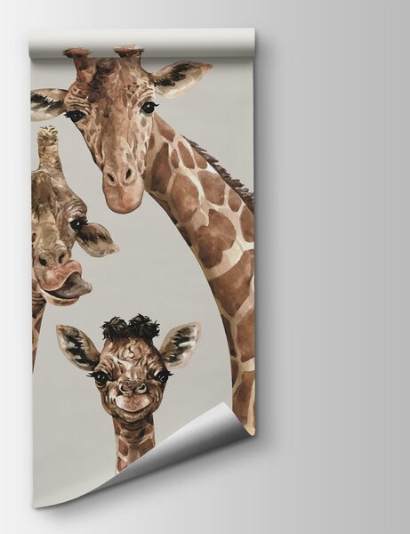 Carta da parati Un gruppo di giraffe con la testa unita, Carta da parati per Bambini, Carta da parati popolare, u98525 - Tapeko.it
