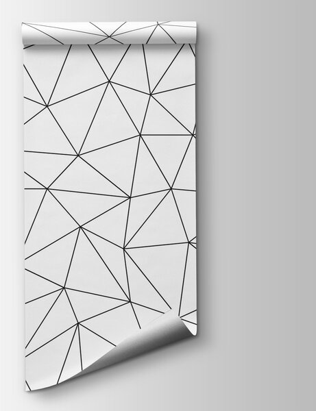 Carta da parati Un motivo in bianco e nero, Carta da parati Geometriche, Carta da parati popolare, u98560 - Tapeko.it