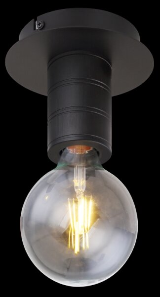 Globo 54030-1D - Plafoniera HERMINE 1xE27/60W/230V