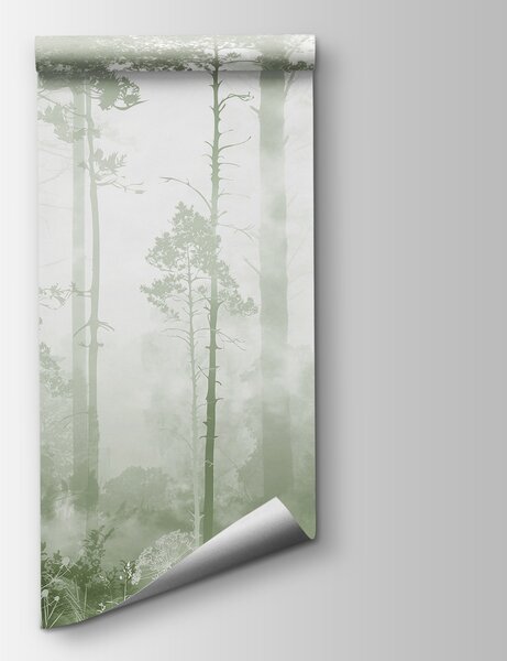 Carta da parati Una foresta nebbiosa con alberi ad alto fusto, Carta da parati Foresta Nebbiosa, Carta da parati popolare, u94439v2 - Tapeko.it
