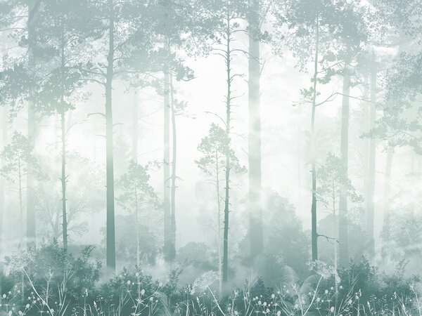 Carta da parati Una foresta nebbiosa con alberi ad alto fusto, Carta da parati Foresta Nebbiosa, Carta da parati popolare, u94439v3 - Tapeko.it