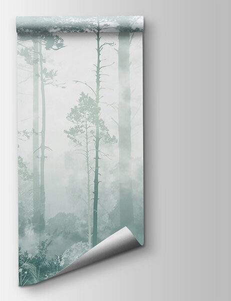 Carta da parati Una foresta nebbiosa con alberi ad alto fusto, Carta da parati Foresta Nebbiosa, Carta da parati popolare, u94439v3 - Tapeko.it