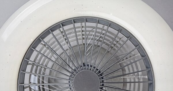 Rabalux - Plafoniera LED dimmerabile con ventilatore LED/30W/230V + TC