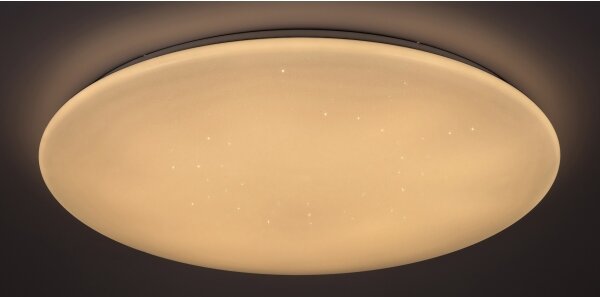 Rabalux 5445 - Plafoniera LED dimmerabile DANNY LED/36W/230V + telecomando