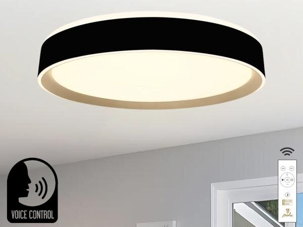 Plafoniera LED dimmerabile con controllo vocale OPAL LED/48W/230V + +TC