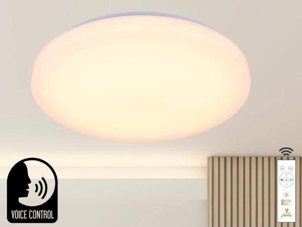 Plafoniera LED dimmerabile con controllo vocale OPAL LED/48W/230V + +TC