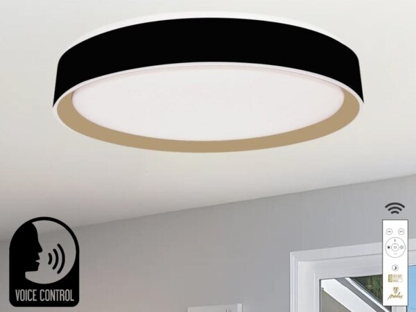 Plafoniera LED dimmerabile con controllo vocale OPAL LED/48W/230V + +TC