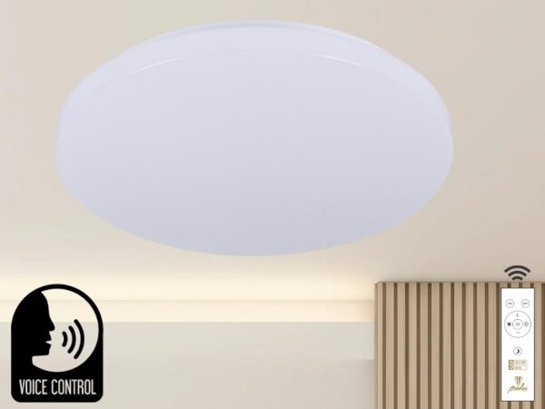 Plafoniera LED dimmerabile con controllo vocale OPAL LED/48W/230V + +TC