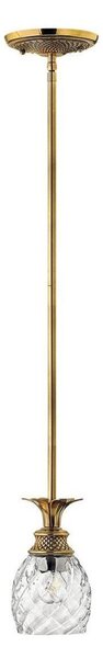 Hinkley HK-PLANTATION-MP-BB - Lampadario a sospensione con supporto rigido PLANTATION 1xE27/60W/230V oro