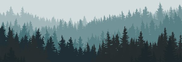 Carta da parati Una foresta di alberi nella nebbia, Carta da parati Natura, Carta da parati popolare, w00378 - Tapeko.it