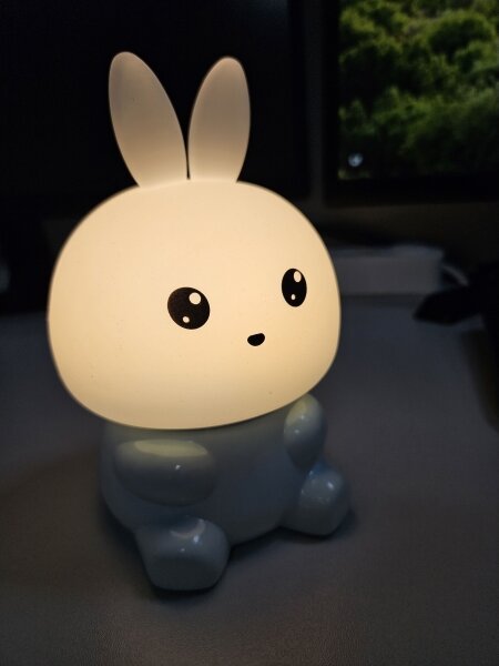 Lampada LED RGBW per bambini, touch, LED 1W 5V USB 1200 mAh con coniglio