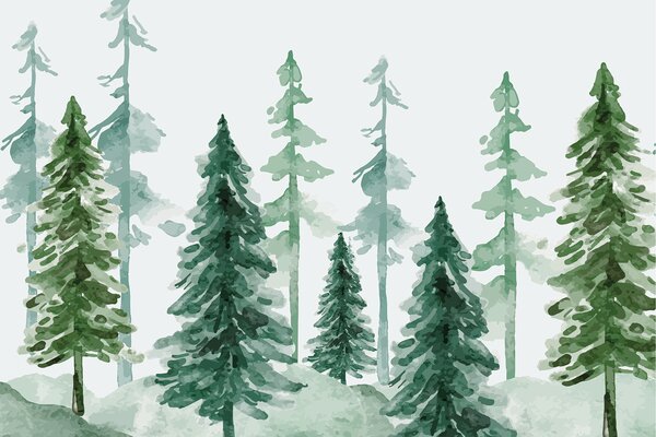 Carta da parati Un gruppo di alberi in una foresta innevata, Carta da parati Natura, Carta da parati popolare, w00561 - Tapeko.it