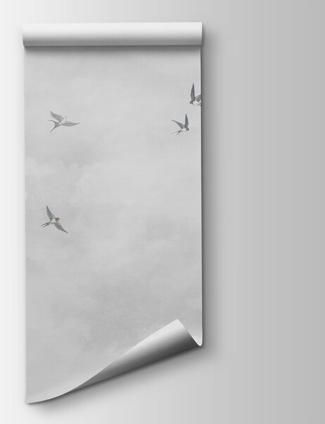 Carta da parati Un gruppo di uccelli in volo nel cielo, Carta da parati Cielo, Carta da parati popolare, w00526v1 - Tapeko.it