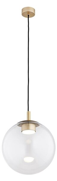 Argon 8828 - Lampadario a sospensione con filo SACRAMENTO 1xGX53/8W/230V limpido/oro