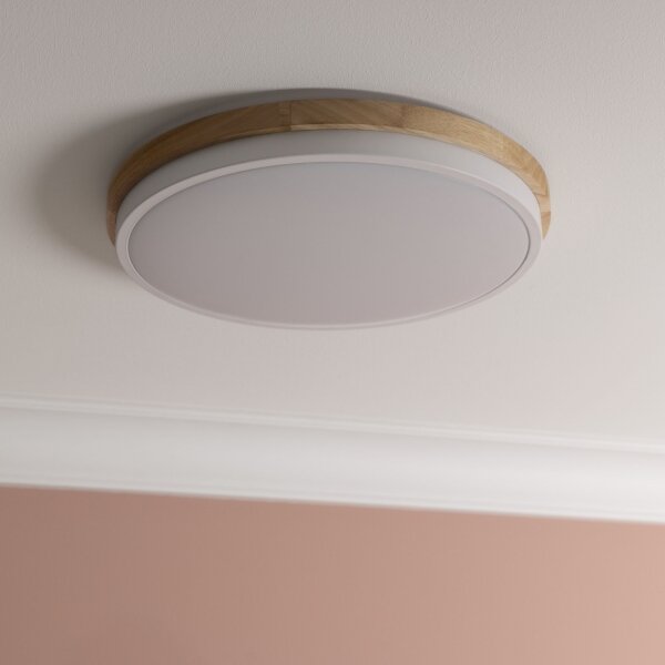 Brilliant - Plafoniera LED dimmerabile BAARLO LED/24W/230V diametro 35 cm bianco