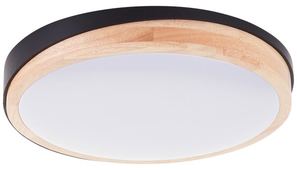 Brilliant - Plafoniera LED dimmerabile BAARLO LED/24W/230V diametro 35 cm nero