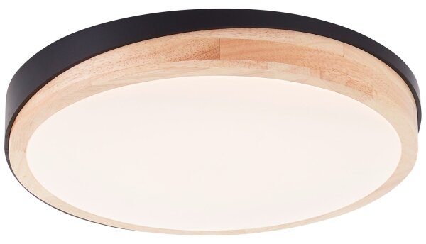 Brilliant - Plafoniera LED dimmerabile BAARLO LED/24W/230V diametro 35 cm nero